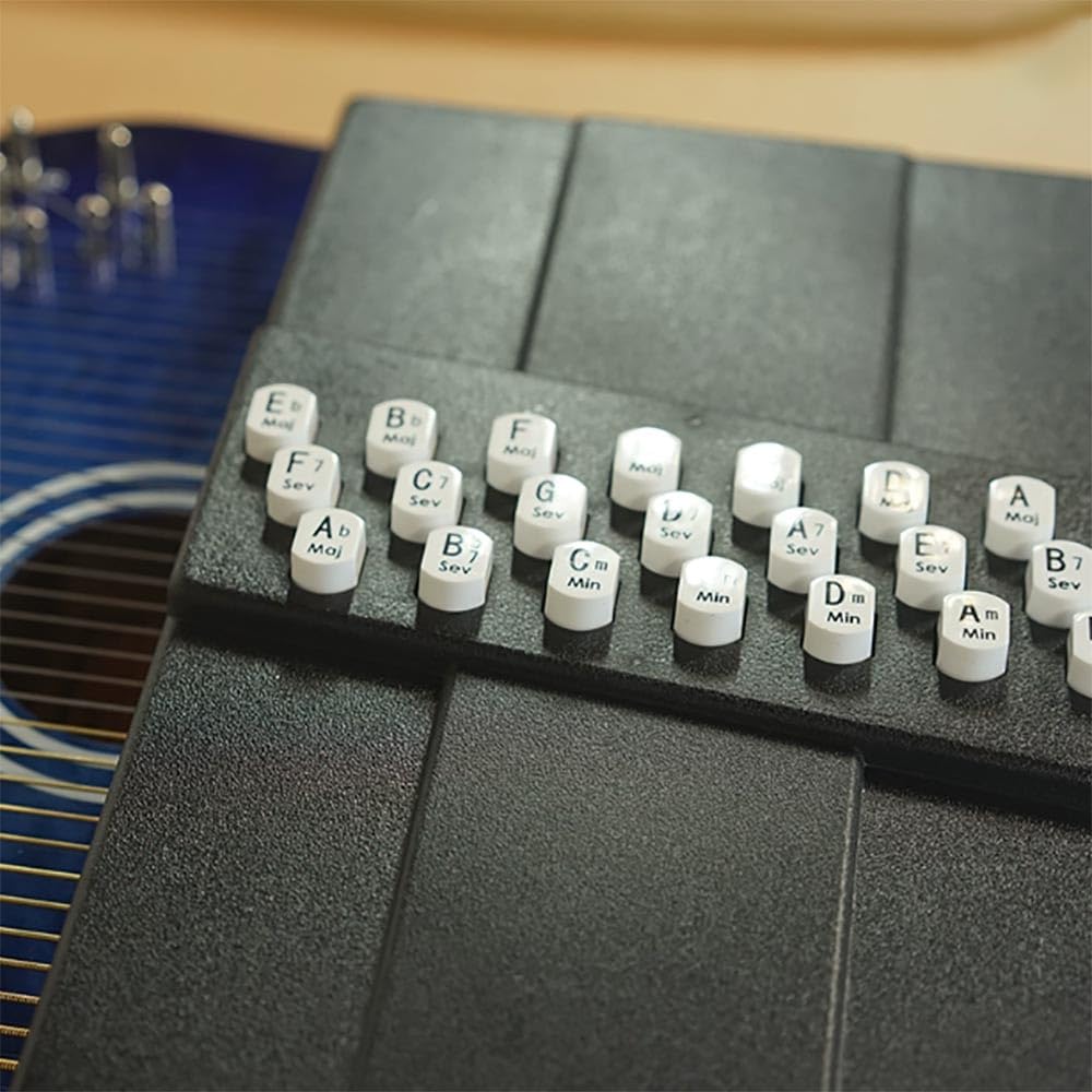 Amazon | Autoharp 36弦 21キー 自動ハープ伴奏楽器 大人用